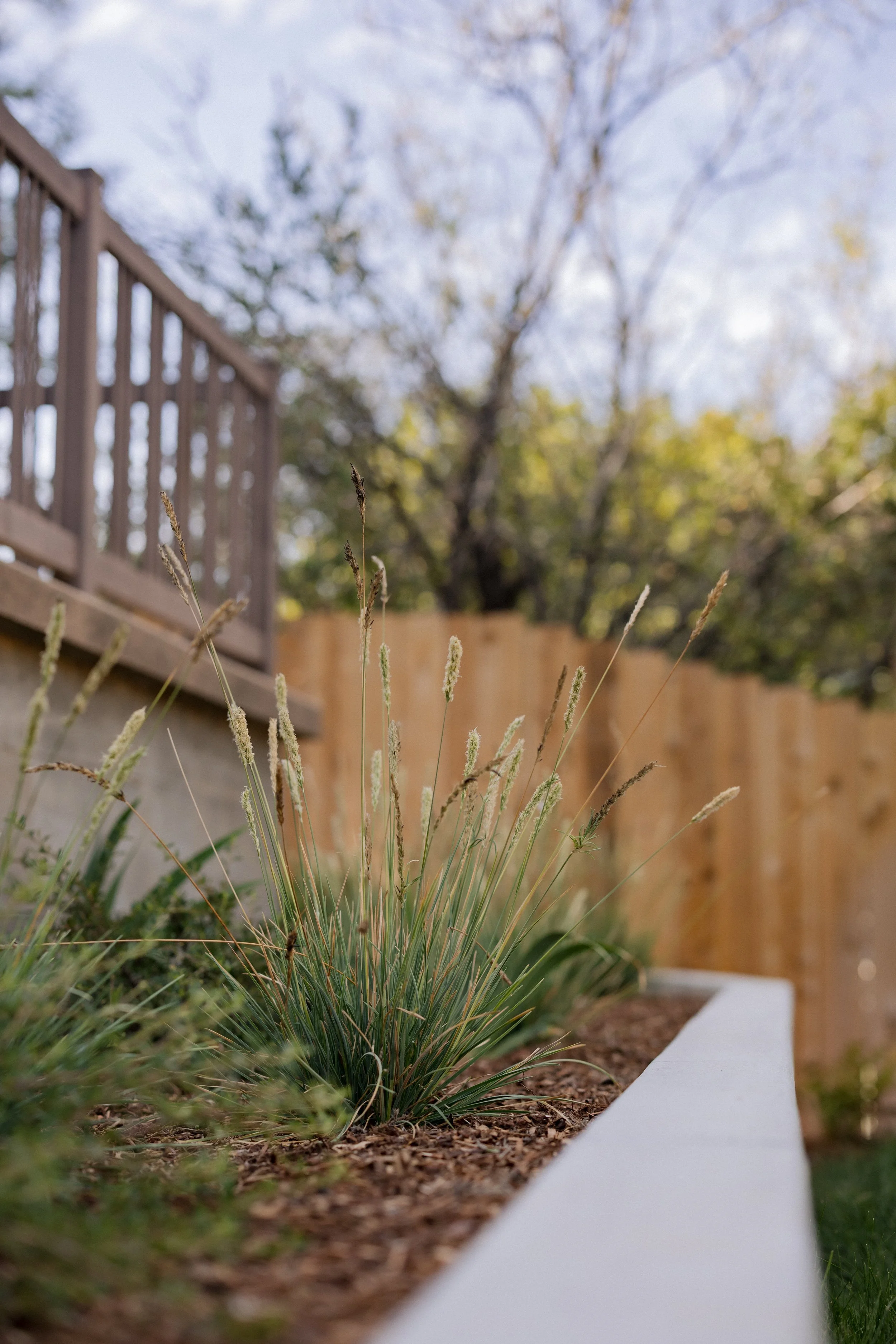 Contour Landscaping ~ Leece Residence_130.jpg