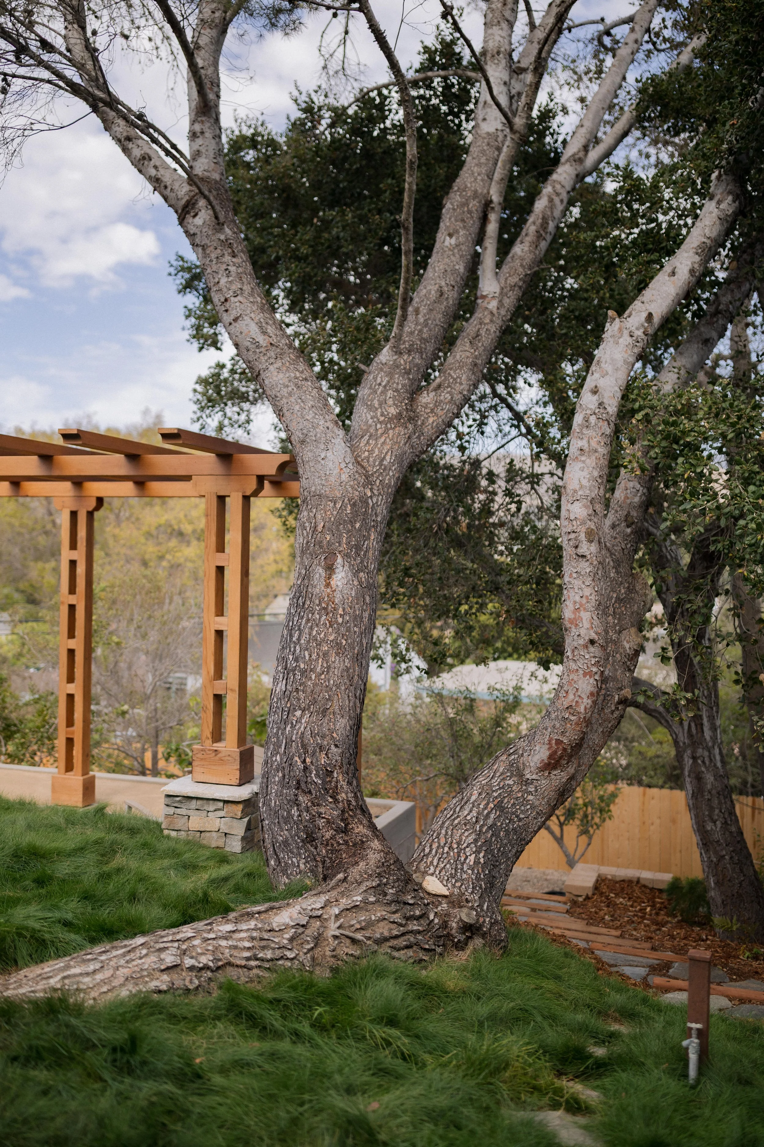Contour Landscaping ~ Leece Residence_062.jpg