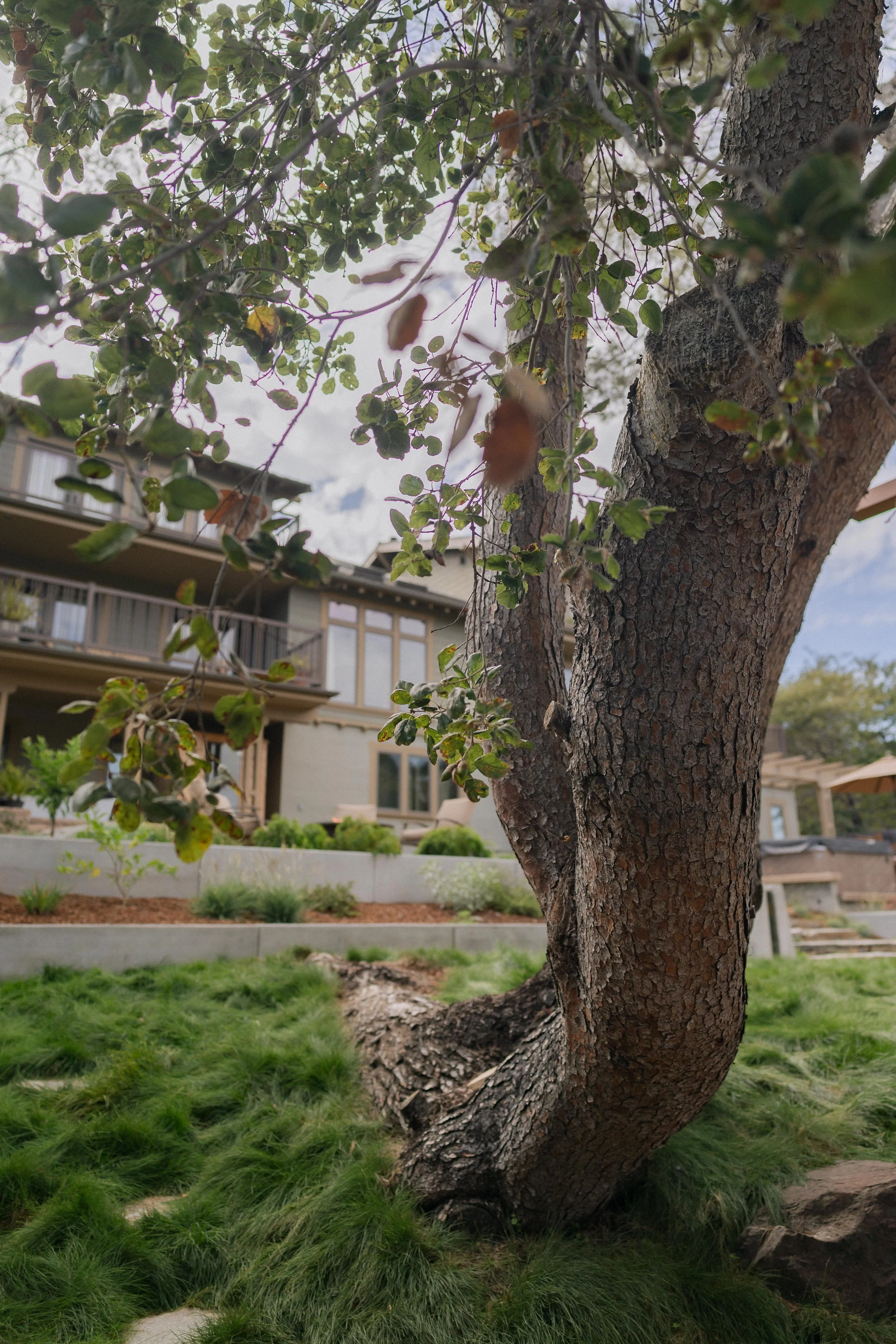 Contour Landscaping ~ Leece Residence_034.jpg