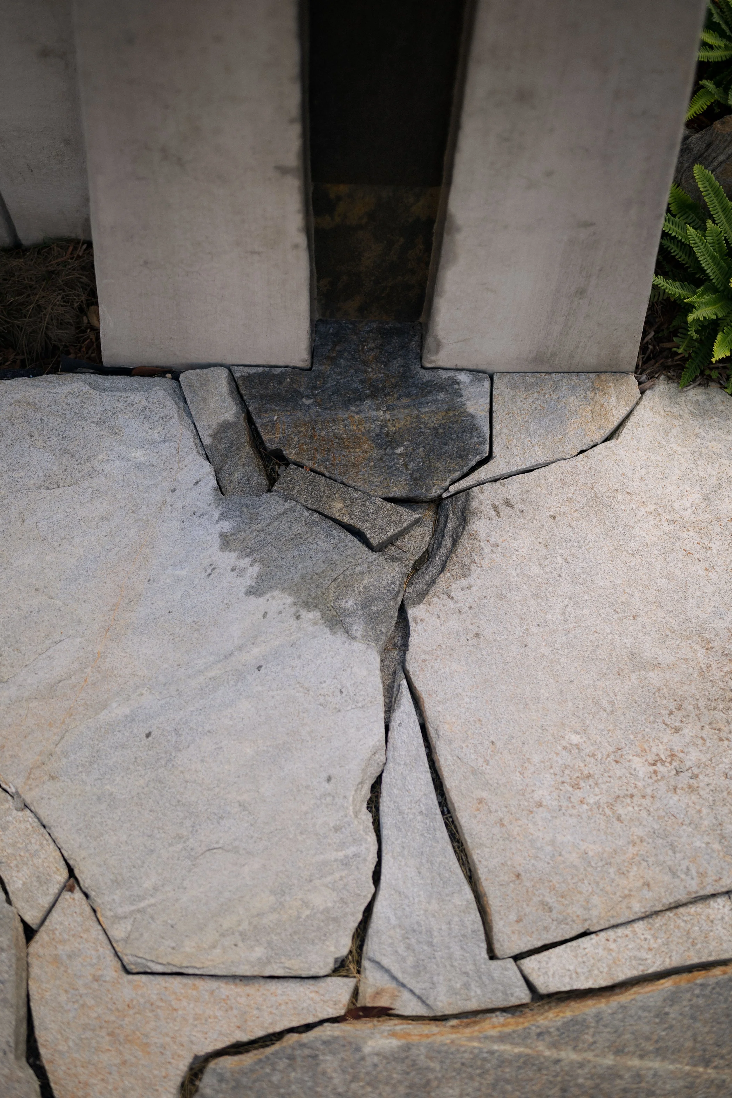 Contour Landscaping ~ Leece Residence_174.jpg