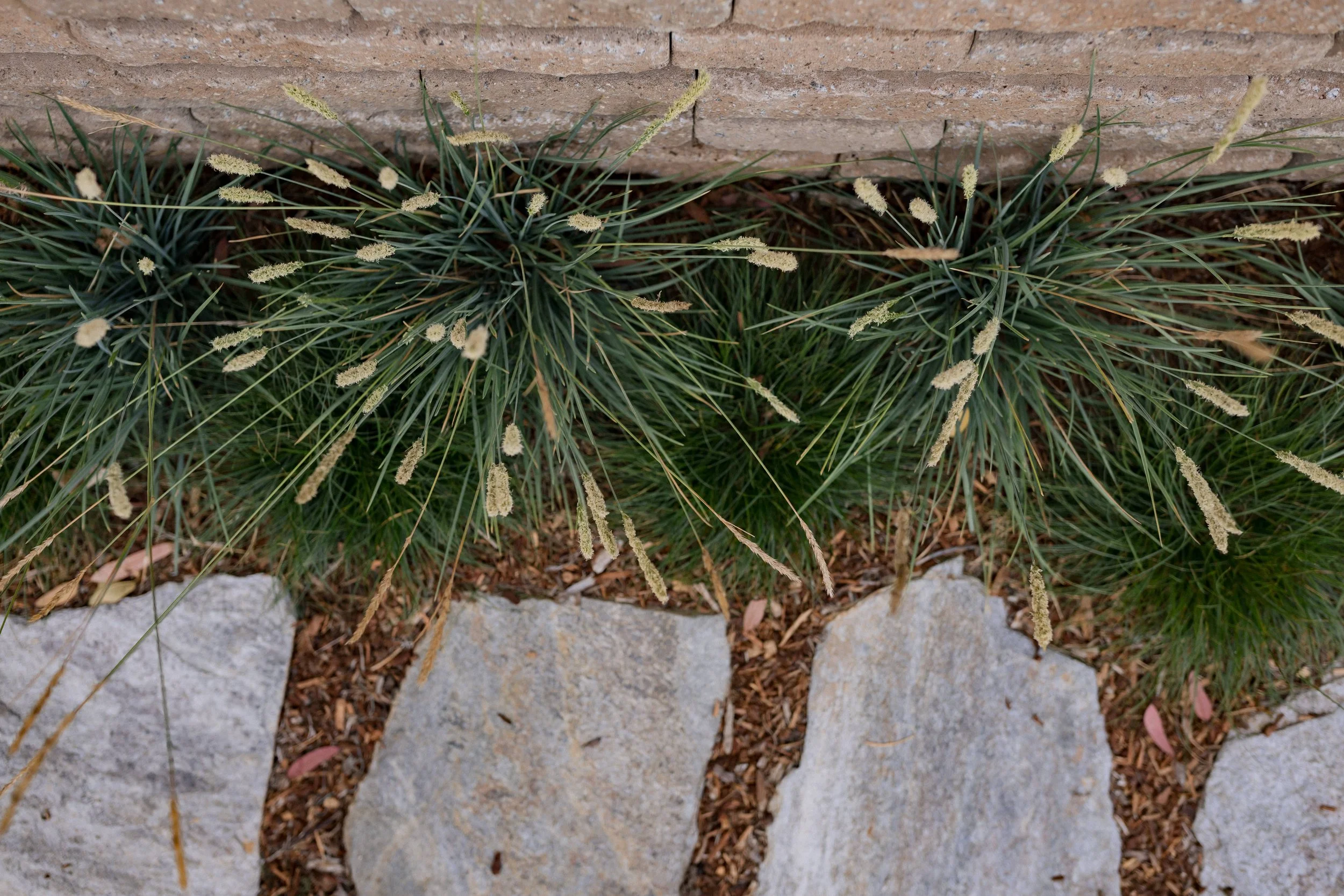 Contour Landscaping ~ Leece Residence_113.jpg