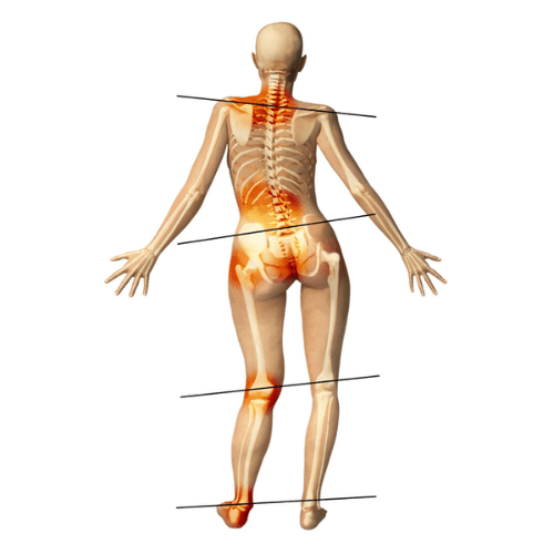 Back, Hip and Sciatic Pain - Workshop Recording