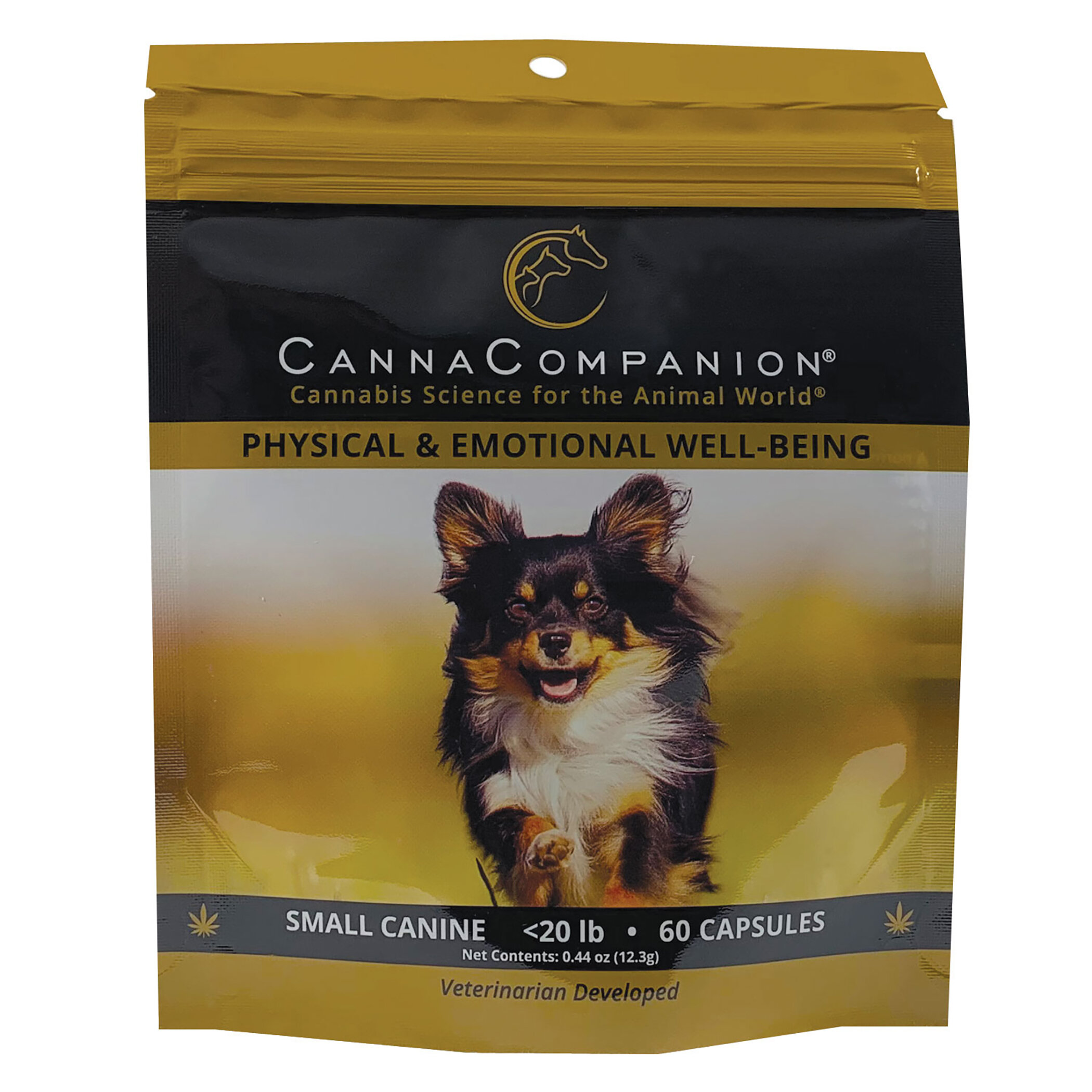 pet world dog food