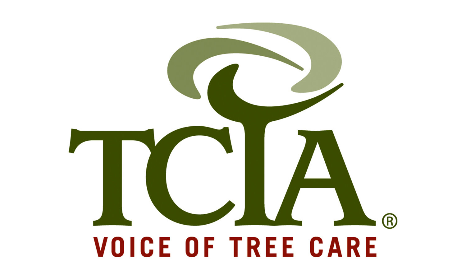 TCIA logo.jpg