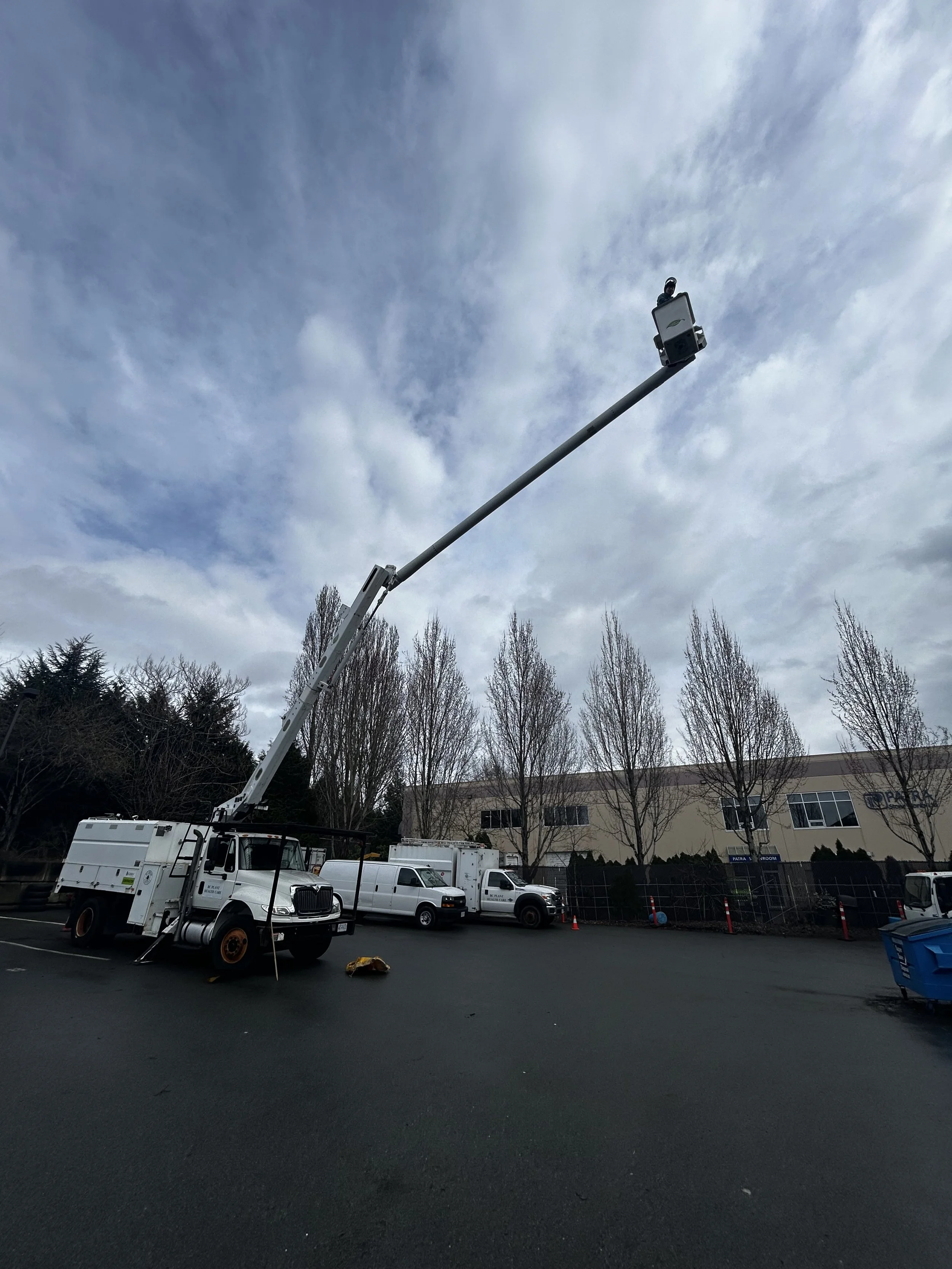 Arborist Heavy Equipment Maintenance, Operations and Safety Course - May 7, 2025