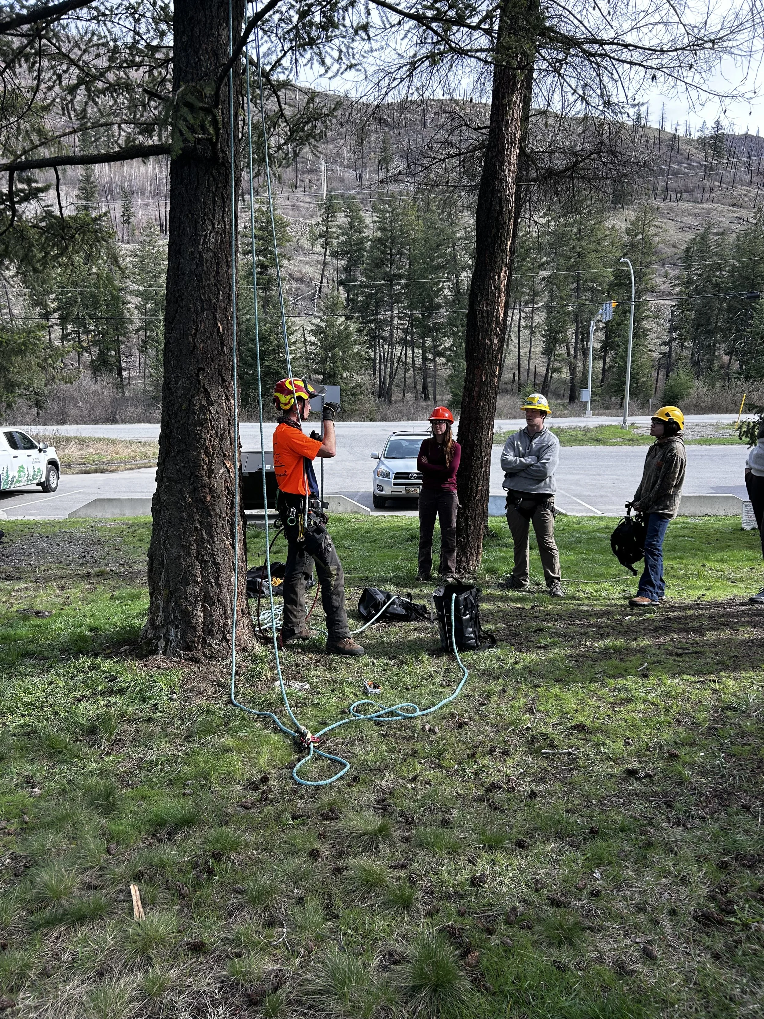 Advanced arborist training focused on efficient climbing systems, work positioning, crew coordination, and industry-aligned safe work practices.