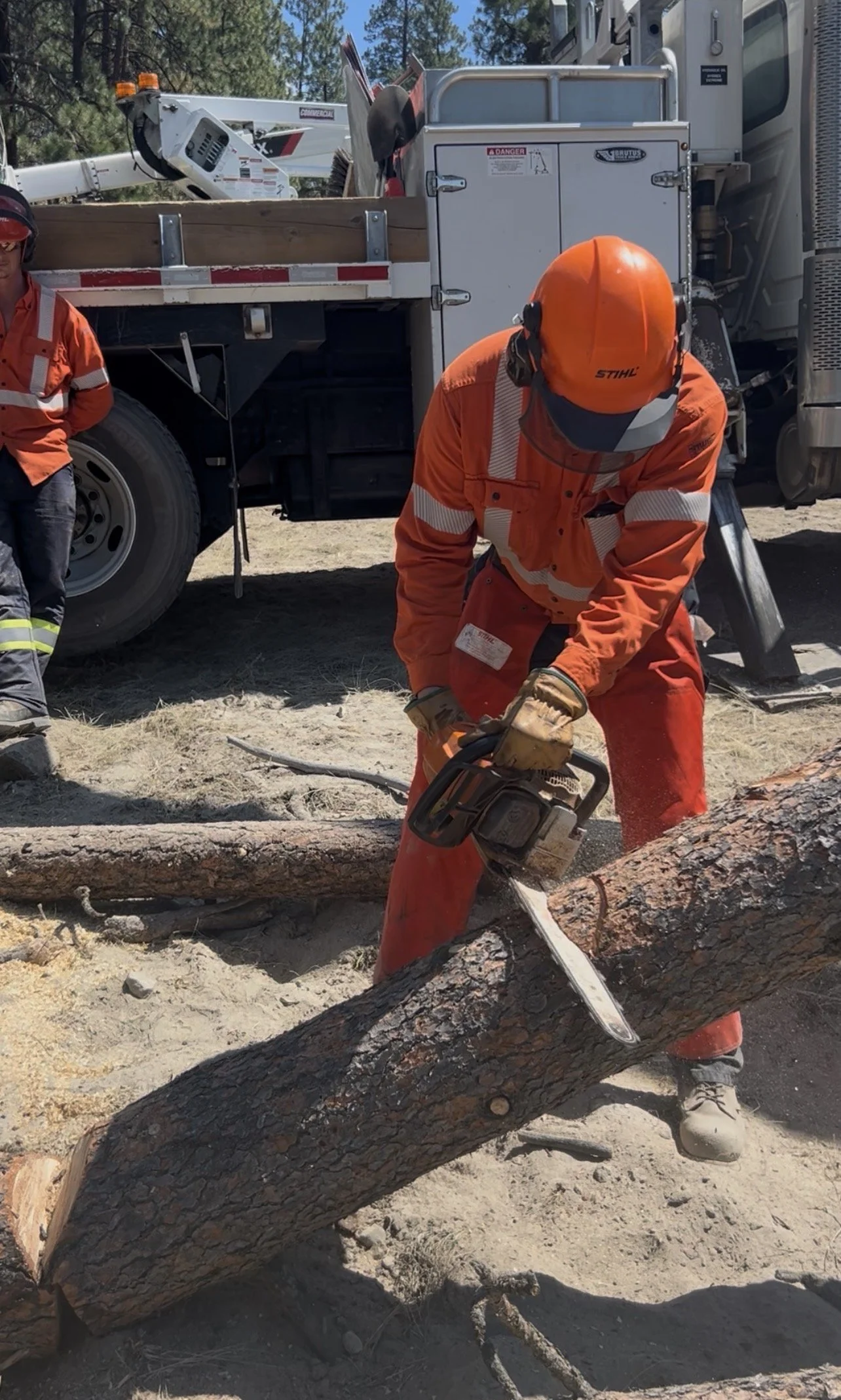 Advanced Chainsaw Techniques and Storm Response - February 26, 2027