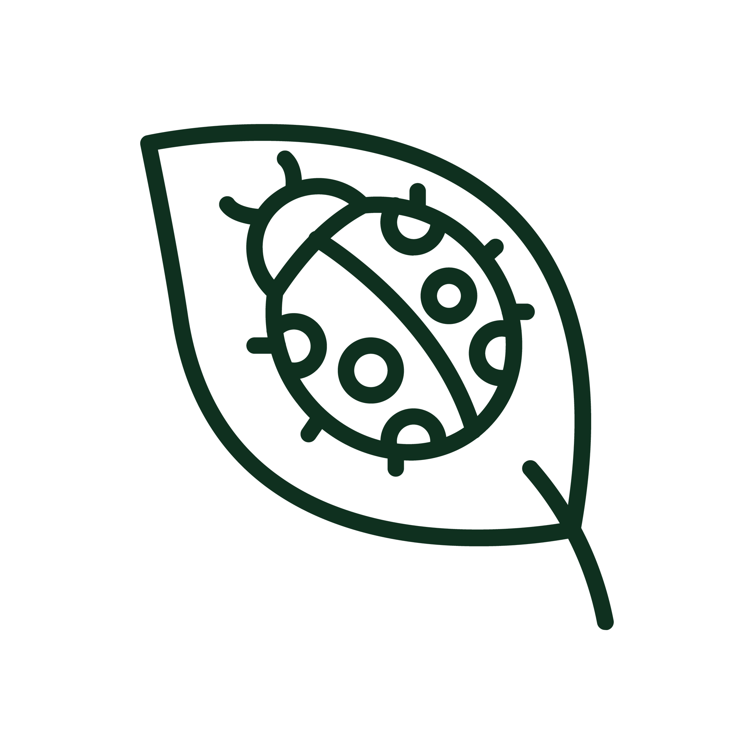 Landscape & Garden.png