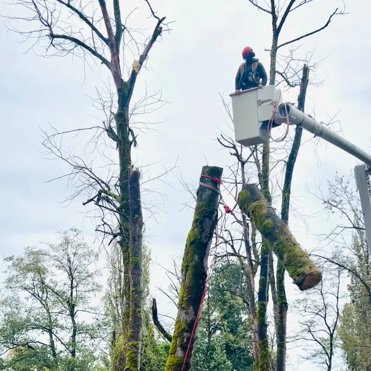 Introduction to Advanced Rigging Techniques Course - May 8, 2026