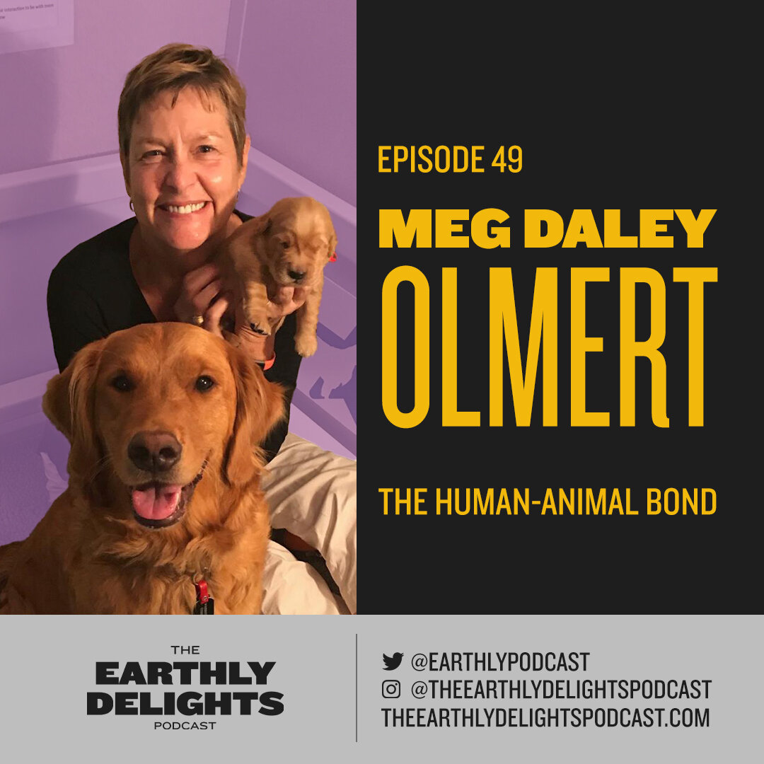 #49: Meg Daley Olmert - The Human-Animal Bond