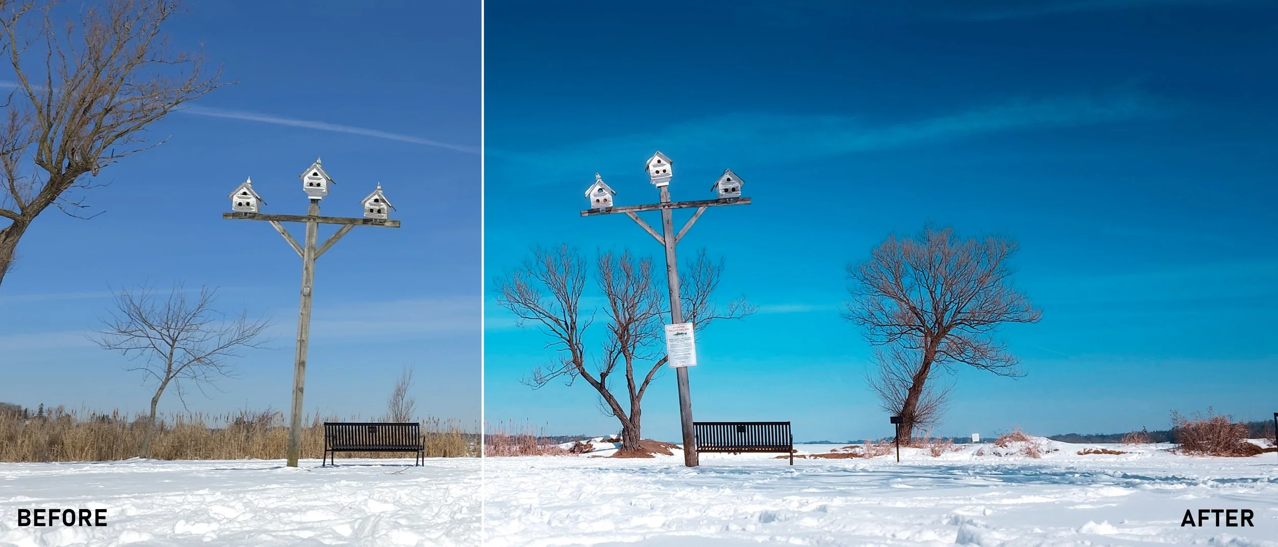 Winter bright blue.jpg