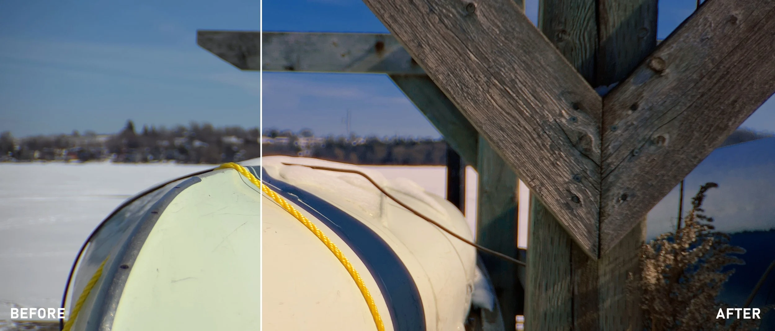Winter contrast.jpg