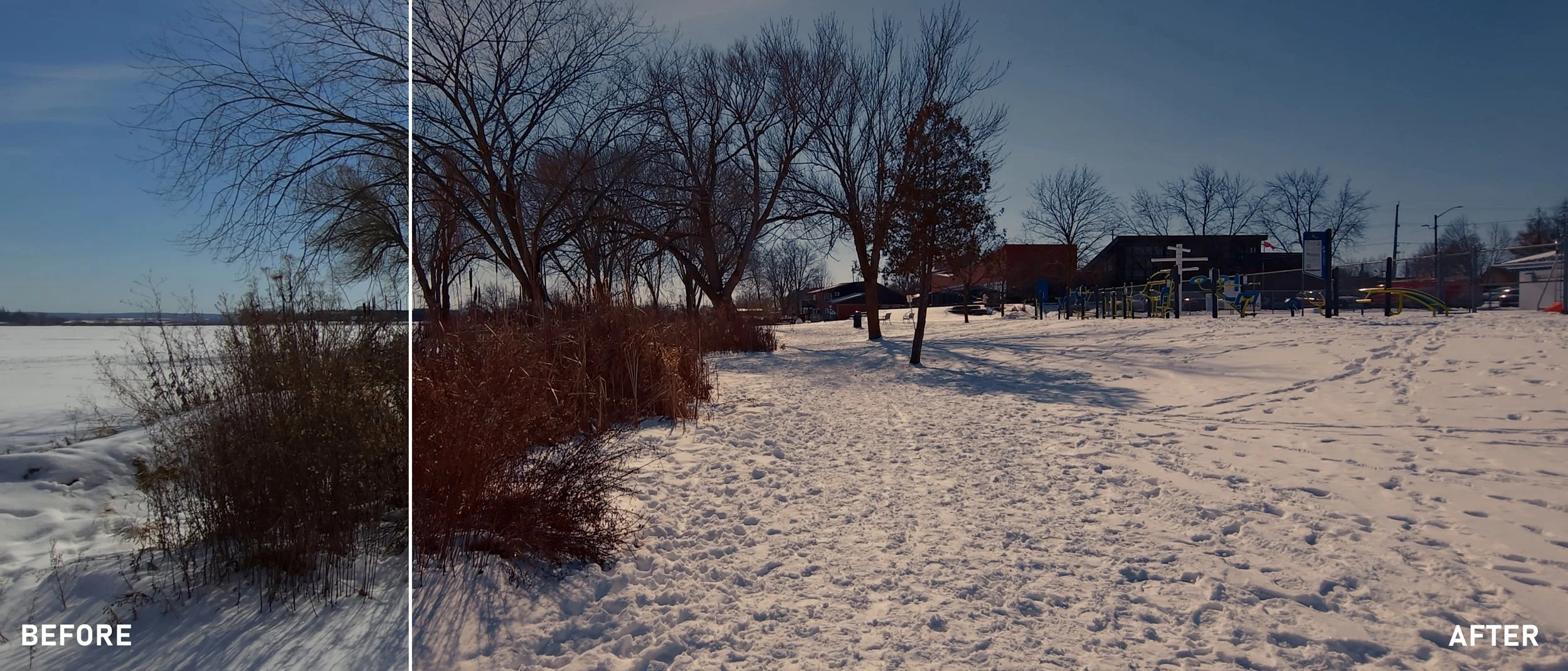 Winter rusty dark.jpg