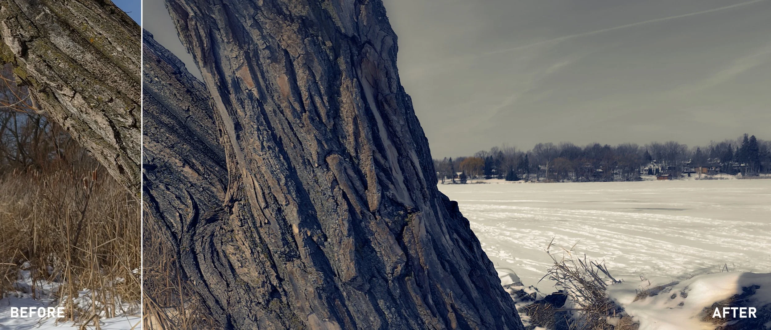 Winter warm greys.jpg