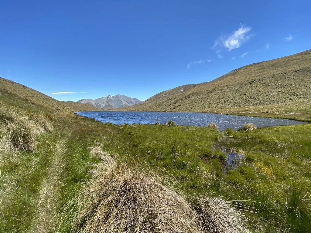 Saying goodbye to Mystery Lake. Shanti loved swimming in the lake so much that he opted to swim most of its length rather than walk along the edge.
