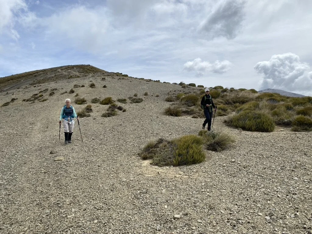 Mirjam and Liz down the far side of Trig M. The dogs are scouting ahead - possibly looking for the rabbits of Rabbit Hill. Plenty of scats but no sign of rabbits on any of our visit (there was another attempt with Liz, but we had to turn back when visibility dropped and it started to snow).