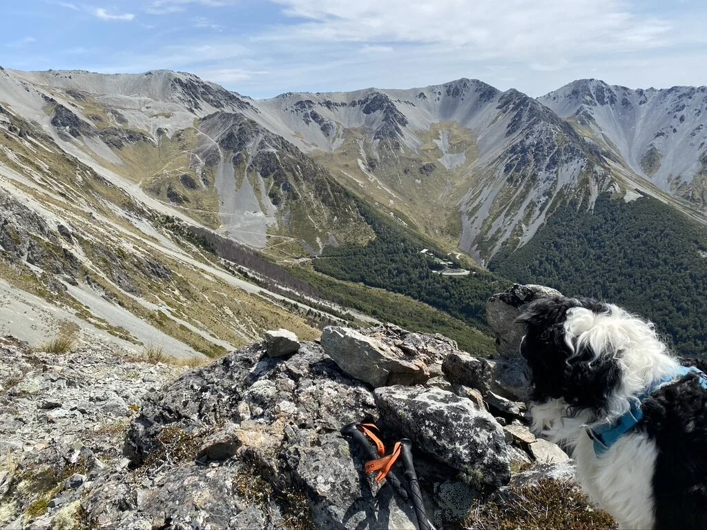 Camp Saddle to Lyndon Saddle (again)