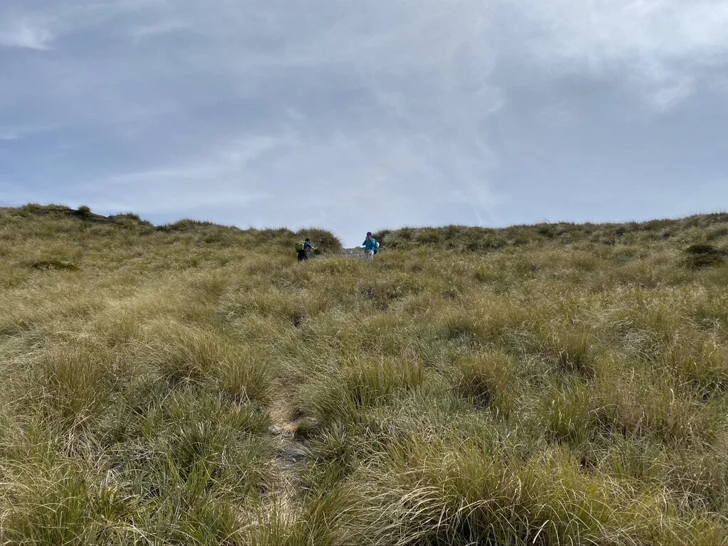 Almost at Camp Saddle.