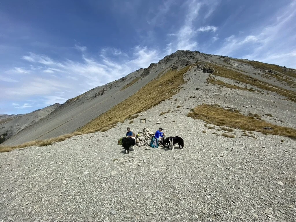 Water stop for dogs and coffee or miso soup stop for humans at Camp Saddle.
