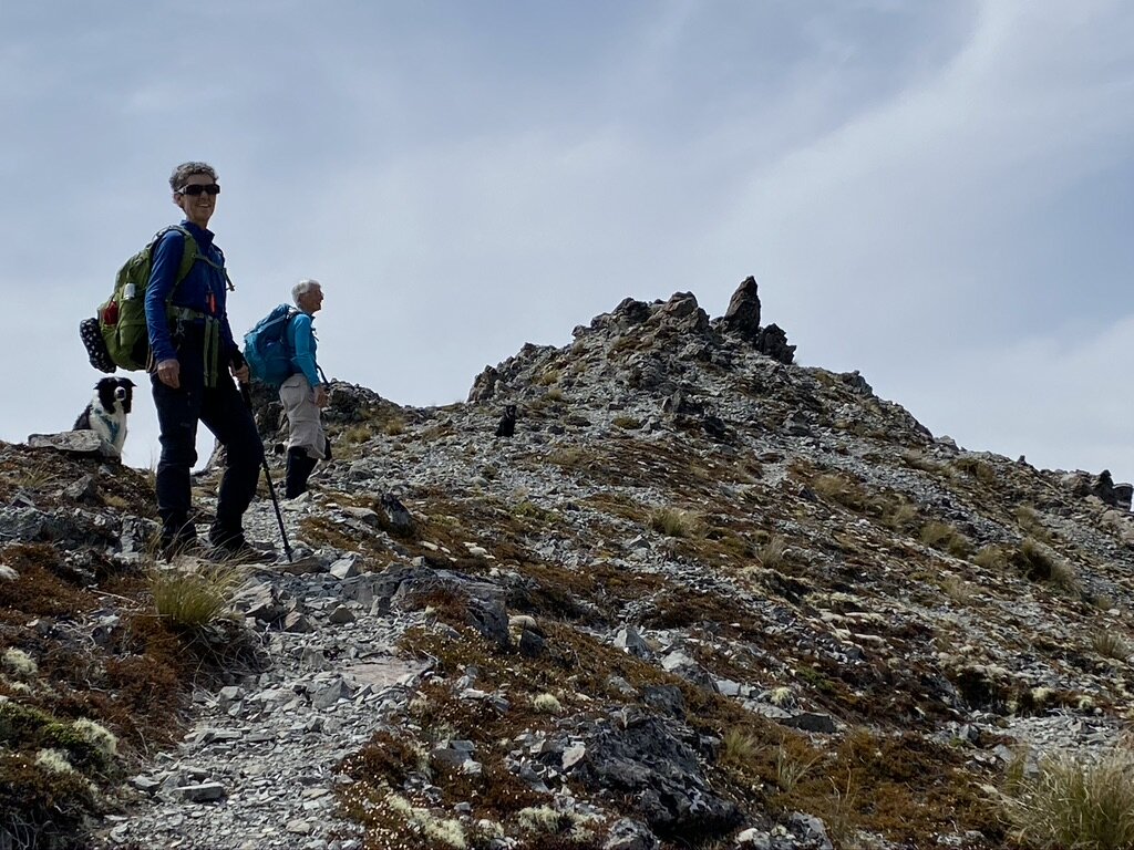 Going up the first bump…