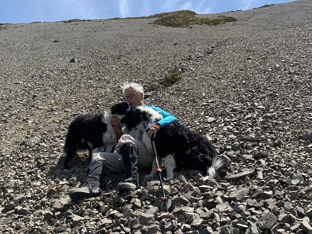 Almost down. Mirjam called a two-minute rest break and support dogs Scruff and Shanti came in for a cuddle (not sure that was helpful).