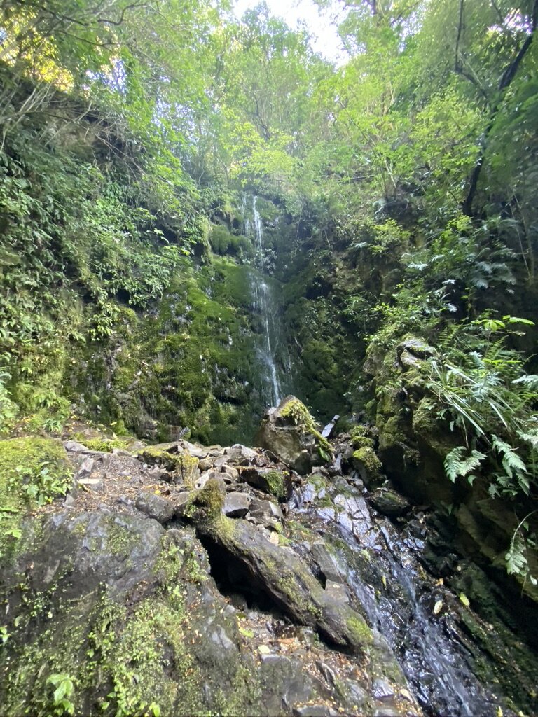 Ashley Gorge Waterfall Track