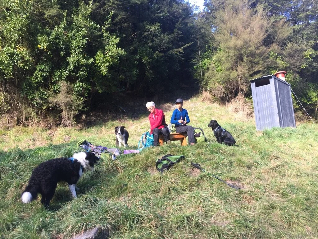 Our humans grabbed a bench from inside and sat outside with us for lunch and treats. At least they understood my feelings.