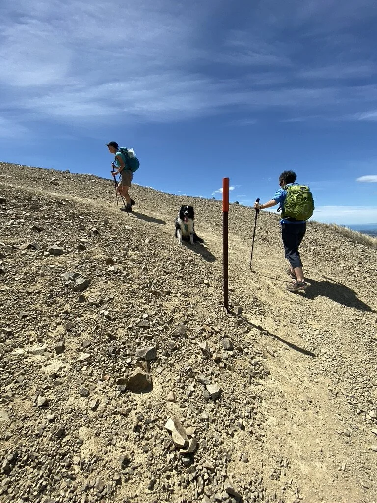Here we are on the last zig-zags before the summit trig.