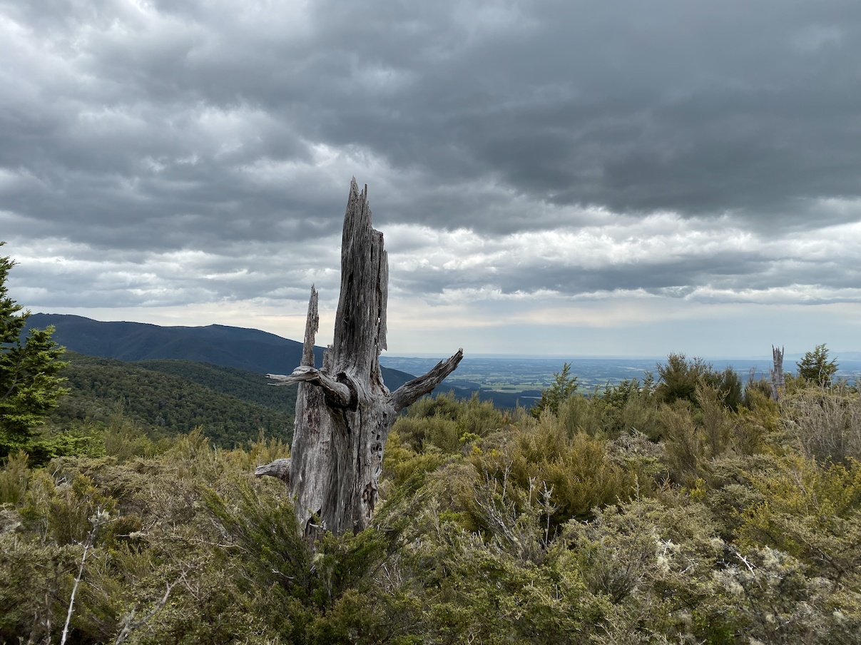 This shows the some of the view.