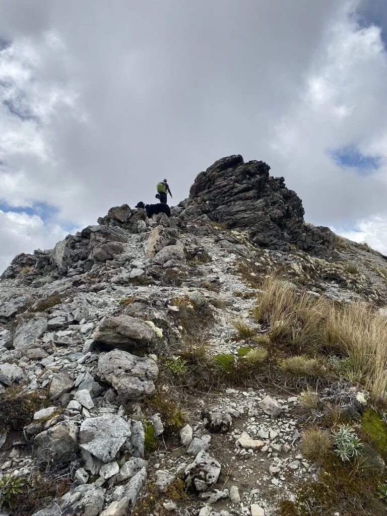 Successfully at the summit of that first hill up from Camp Saddle. How cool is this?