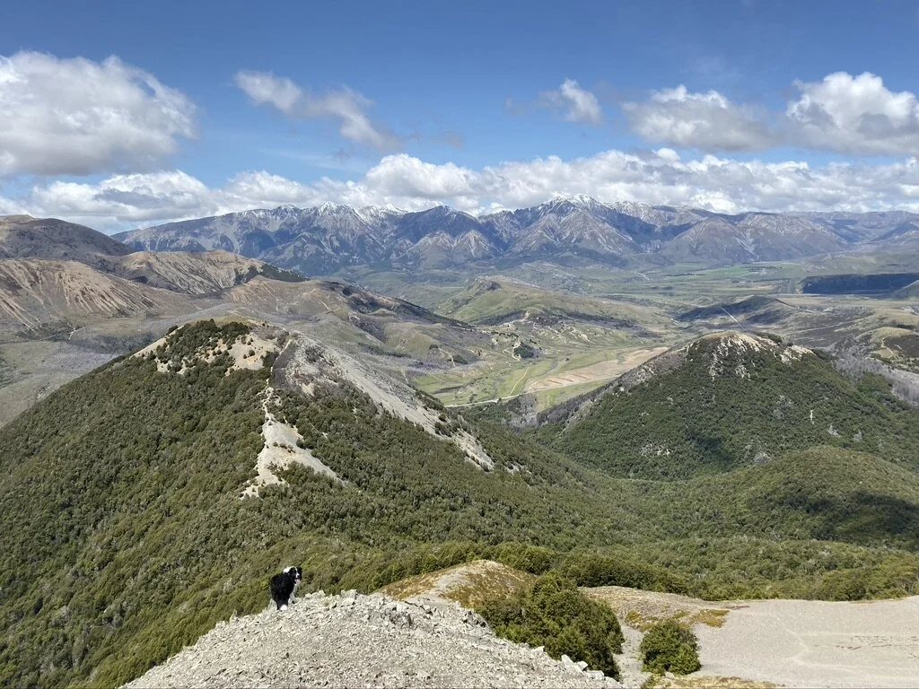 Just look at those views! The bump on the left is Helicopter Hill. I've been up there a few times too.