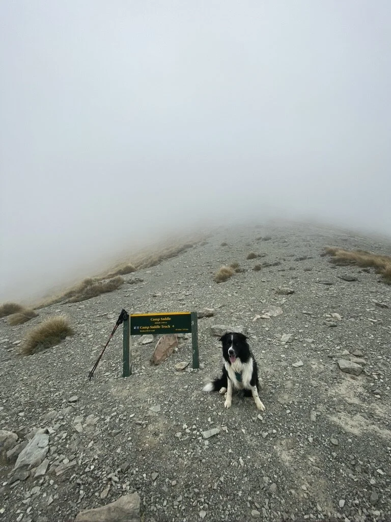 Here I am at Camp Saddle. Not much to see.
