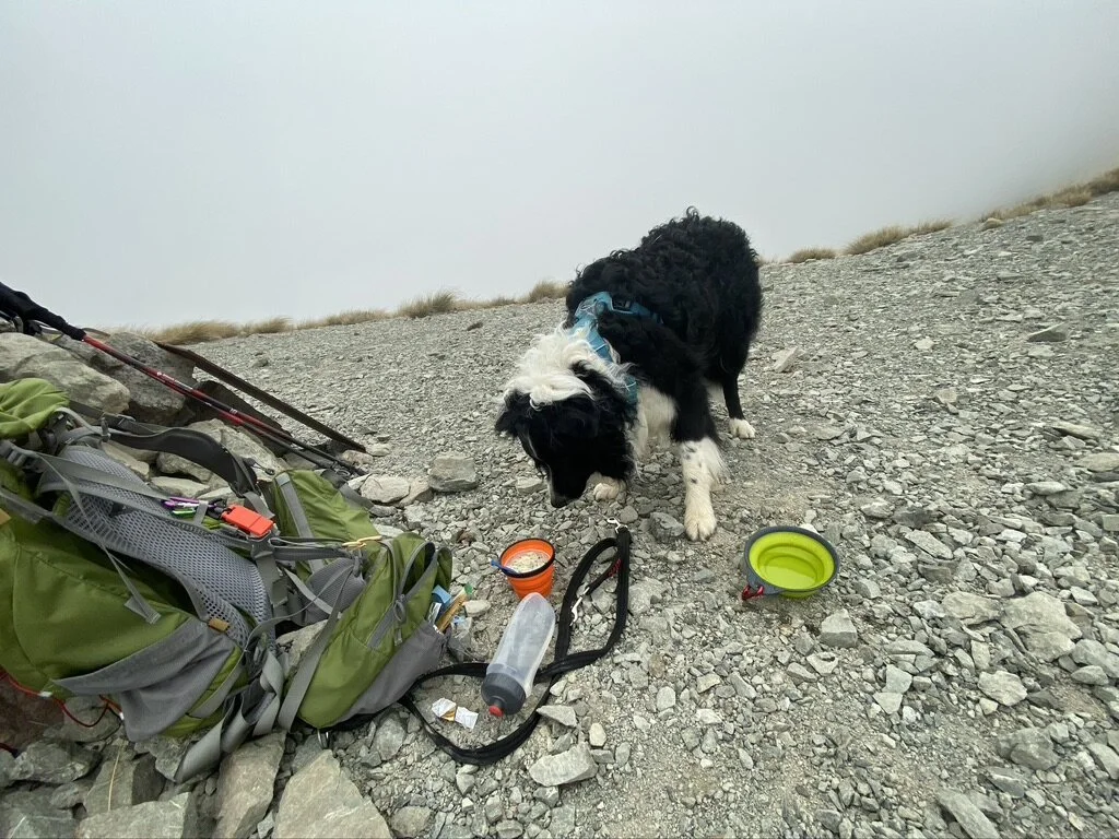Hhhmmm. Mum’s soup smells way better than my water.