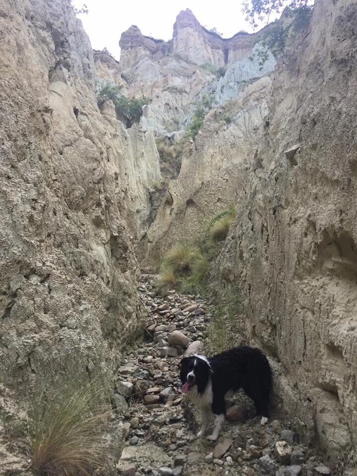Exploring the off the beaten track places at the Clay Cliffs. Mum said the more popular areas where like Piccadilly Circus, whatever that means.