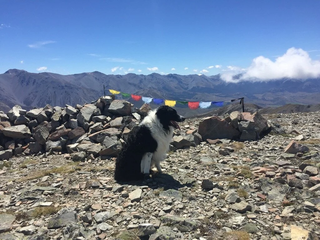 Here’s my official summit photo. Love the prayer flag touch up here.
