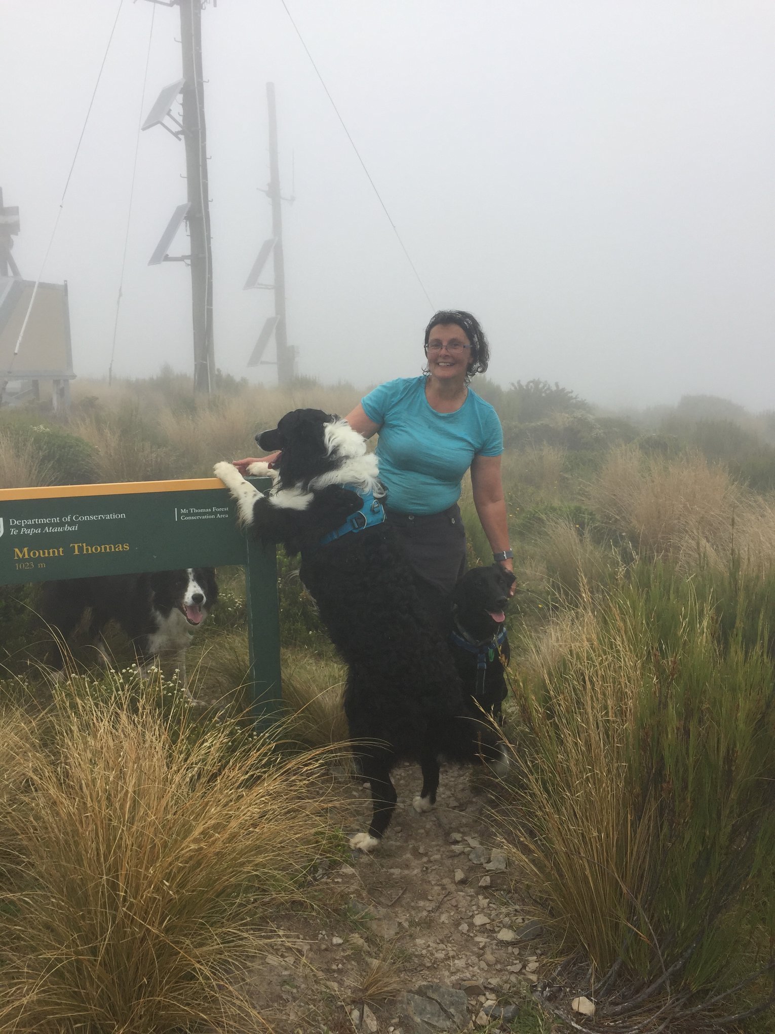 Here I am in the centre with Mum. Scruff is under the sign and Maisy is next to Mum.