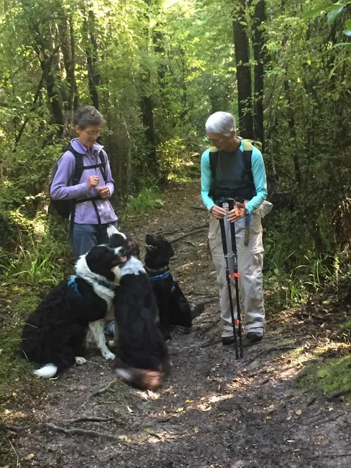 What good dogs! Did someone say treats?