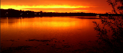 Screenshot 2020-01-17 at 12.08.53.png