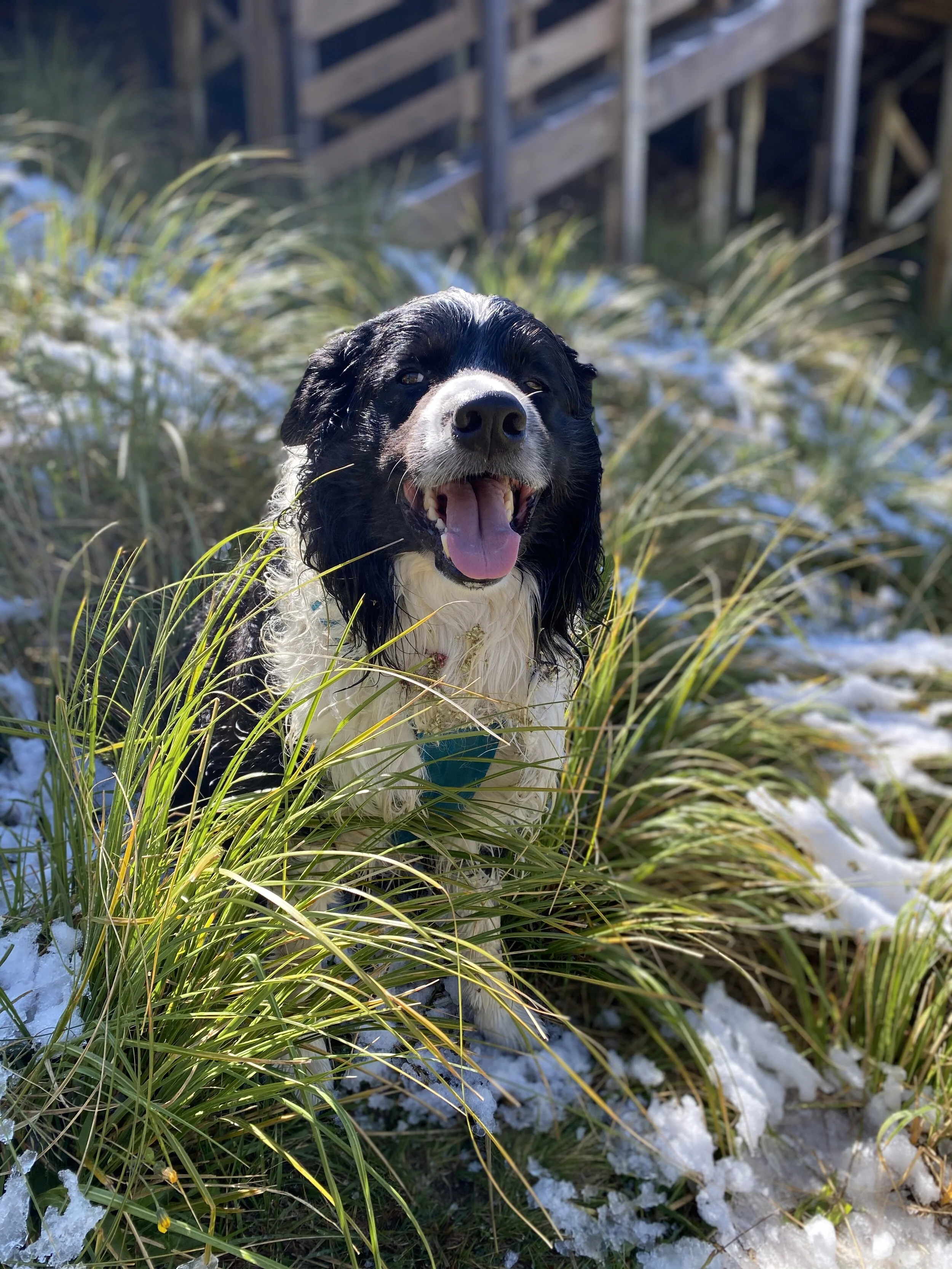 Broken River Ski Field
