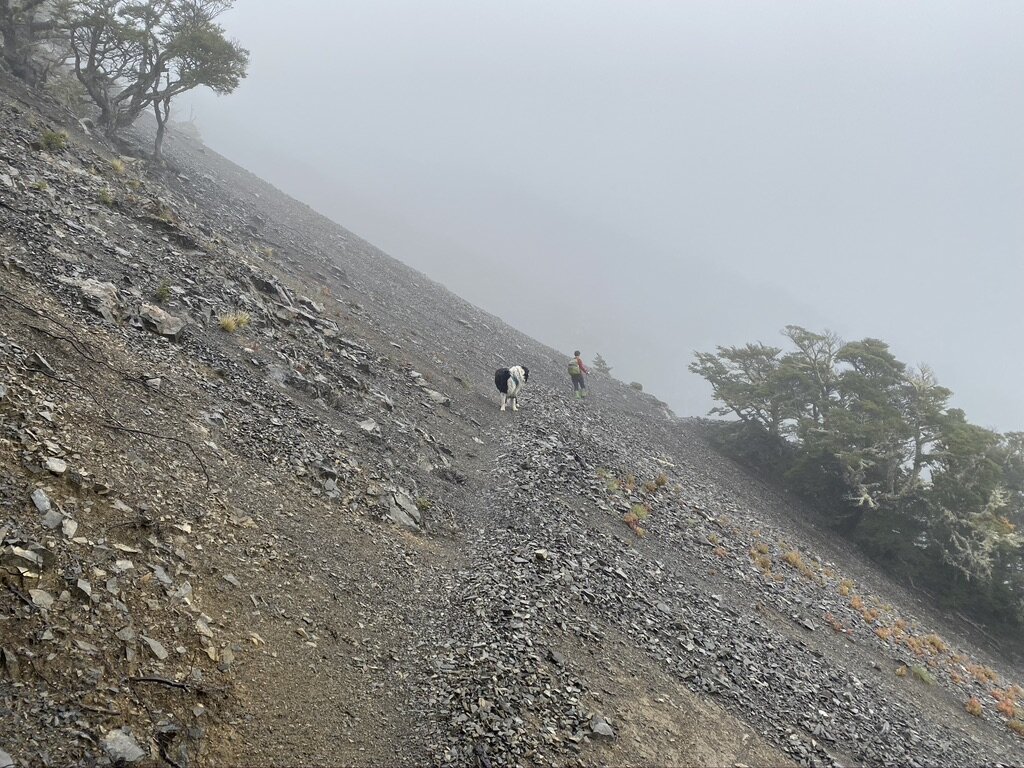 One of the scree sections on the Edge Track