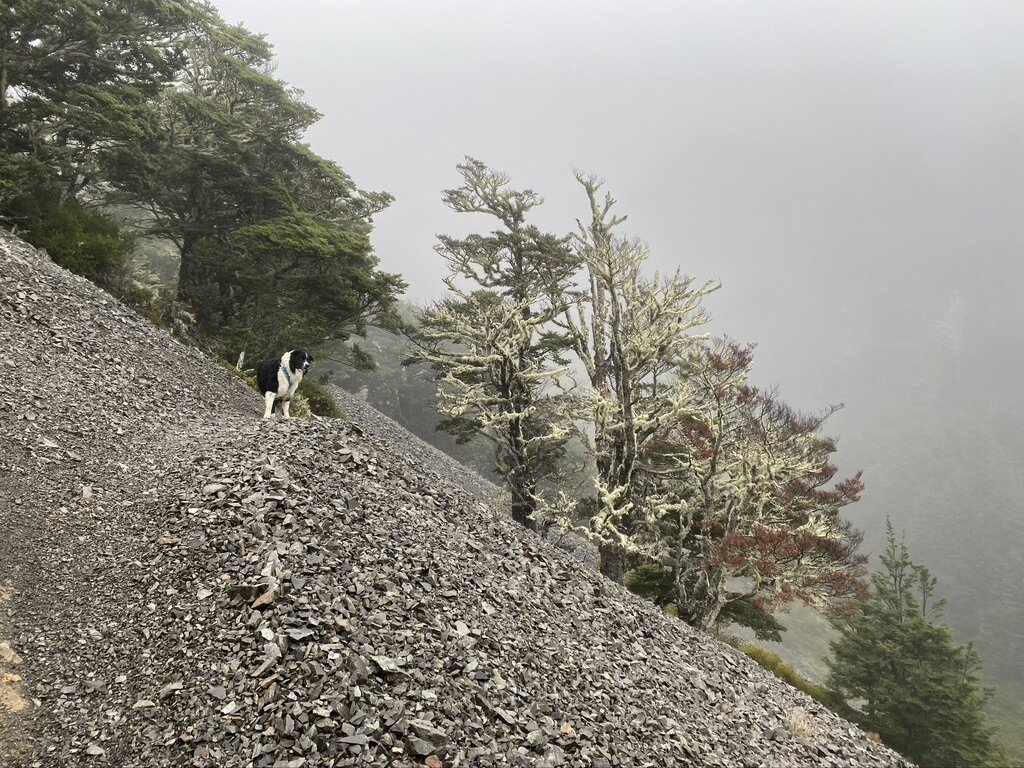 More scree and mist