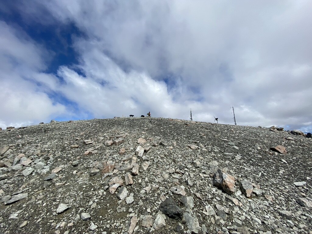 Liz, Maisey and I on top of Hamilton Peak. Mum's at the back as usual