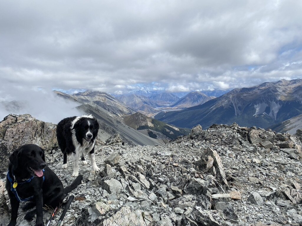 Maisy and me at Hamilton Peak with the view