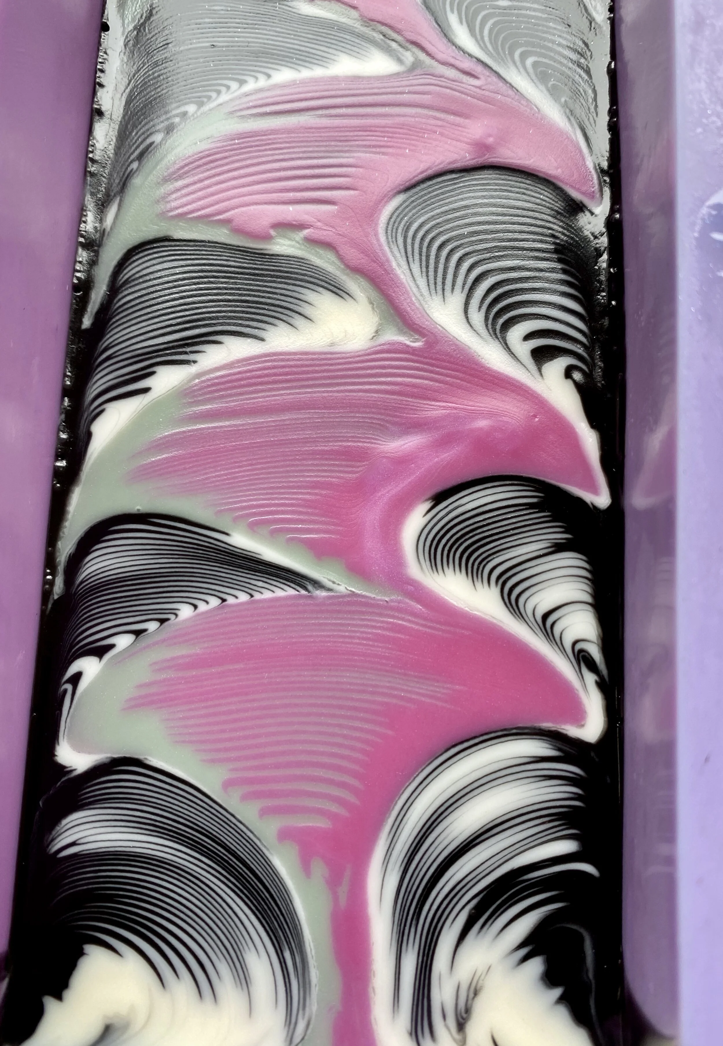 Rose between the thorns