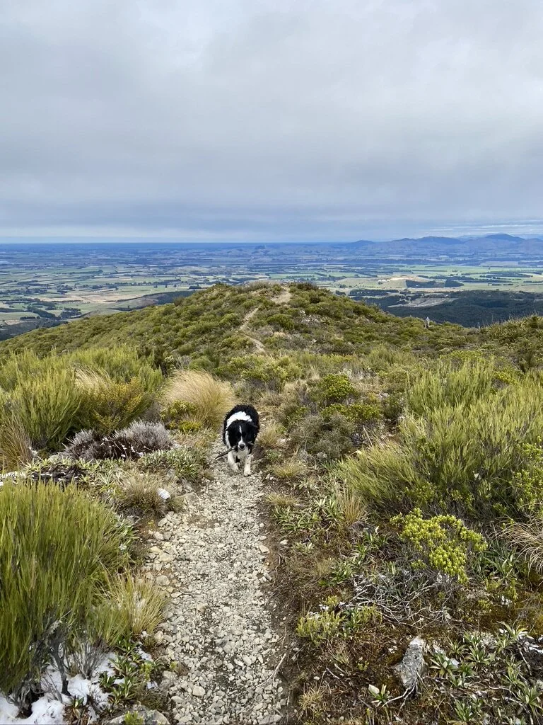 Last outing before lockdown