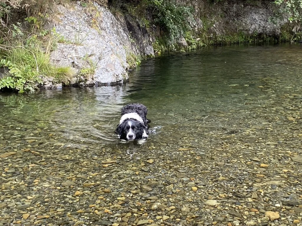 This is my “not amused” face.