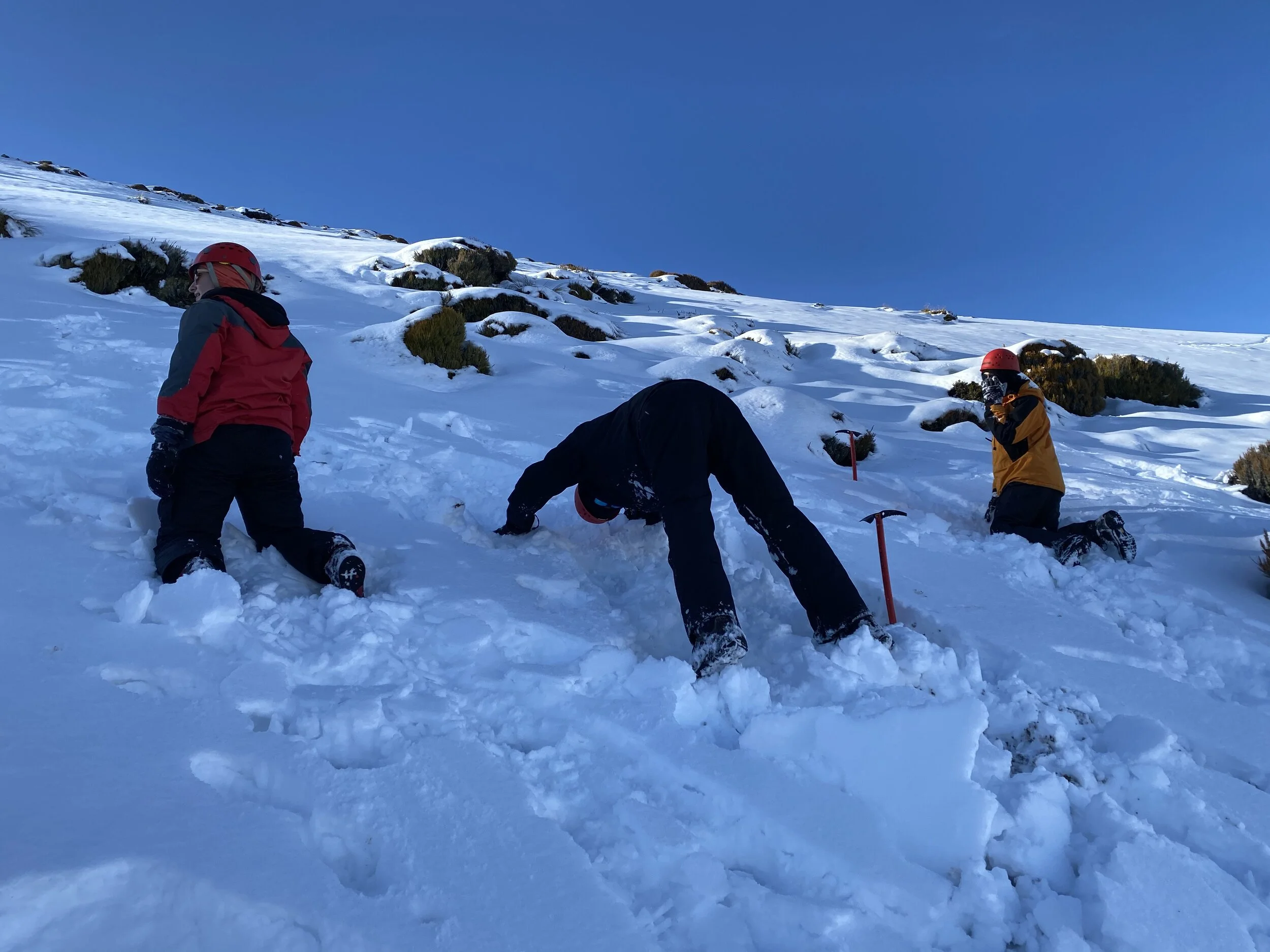 Students on the course practicing the downward dog self arrest position.