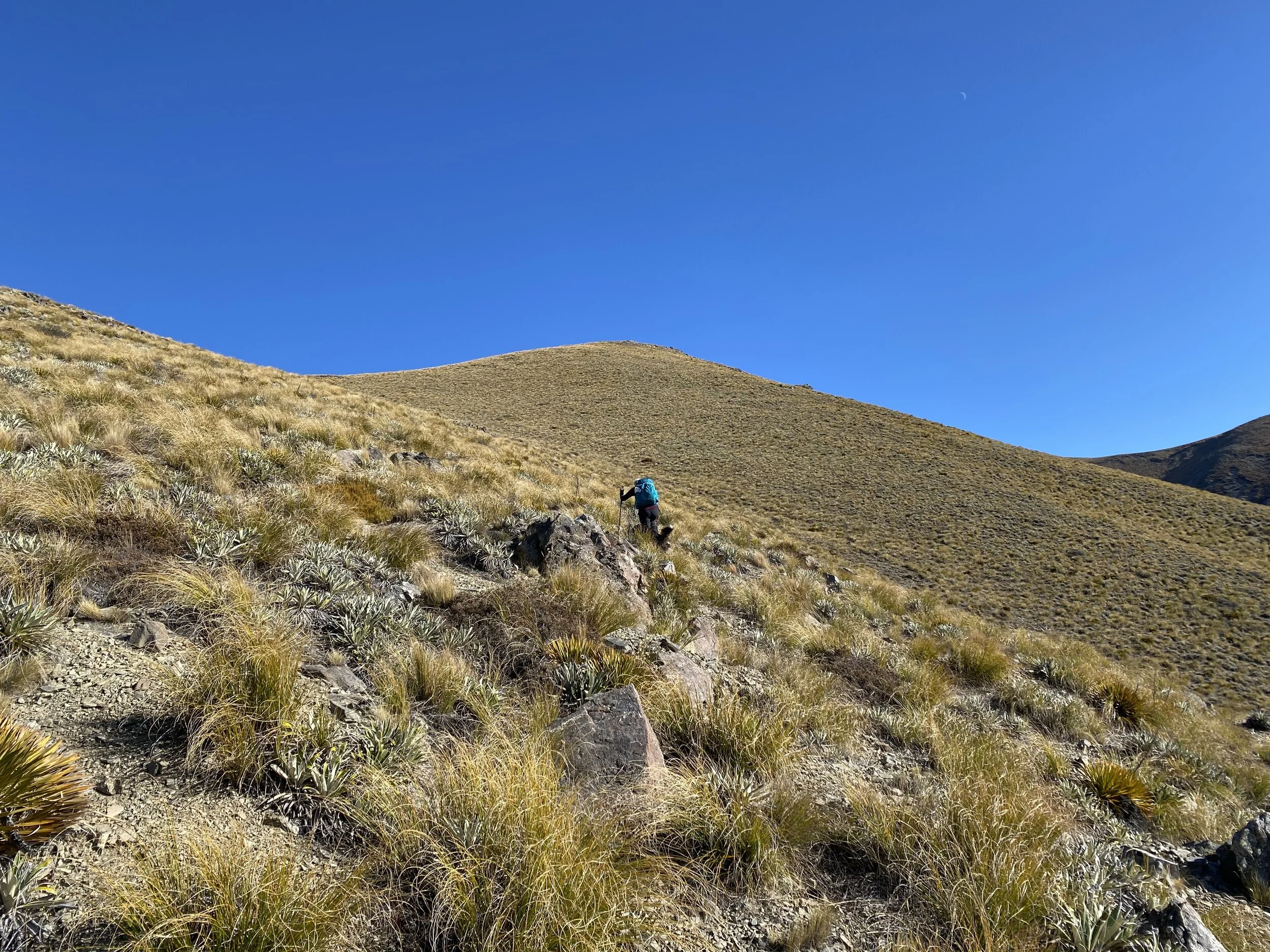 Here’s Mirjam heading up the steep and never ending slope, mostly above all those nasty plants now.