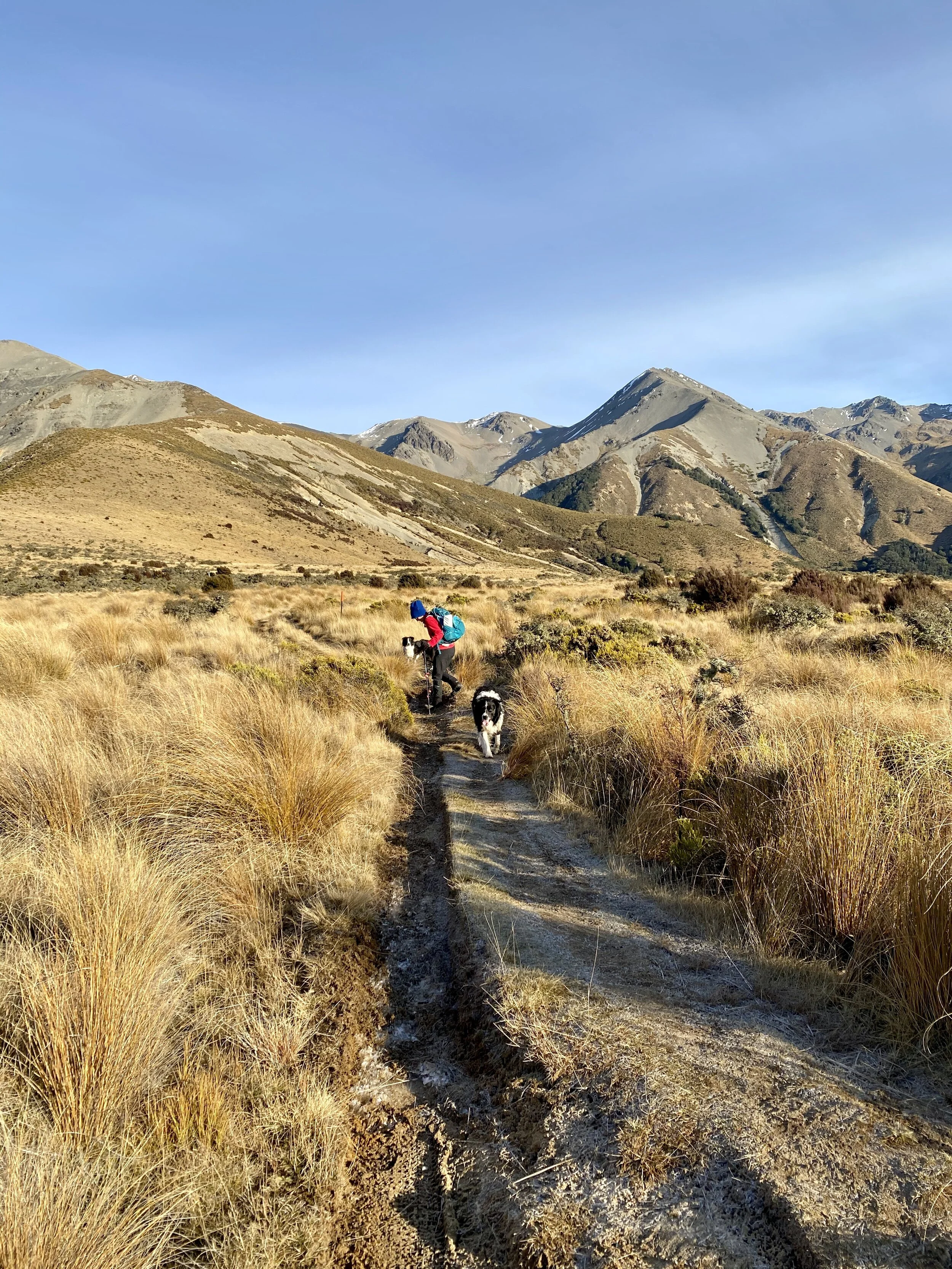 Near the start of the track - distracted by ice needles. They weren’t anywhere near as much fun on the way back as they’d melted into slushy slippery mud! Below - ice needles / frost heave and mushrooms.