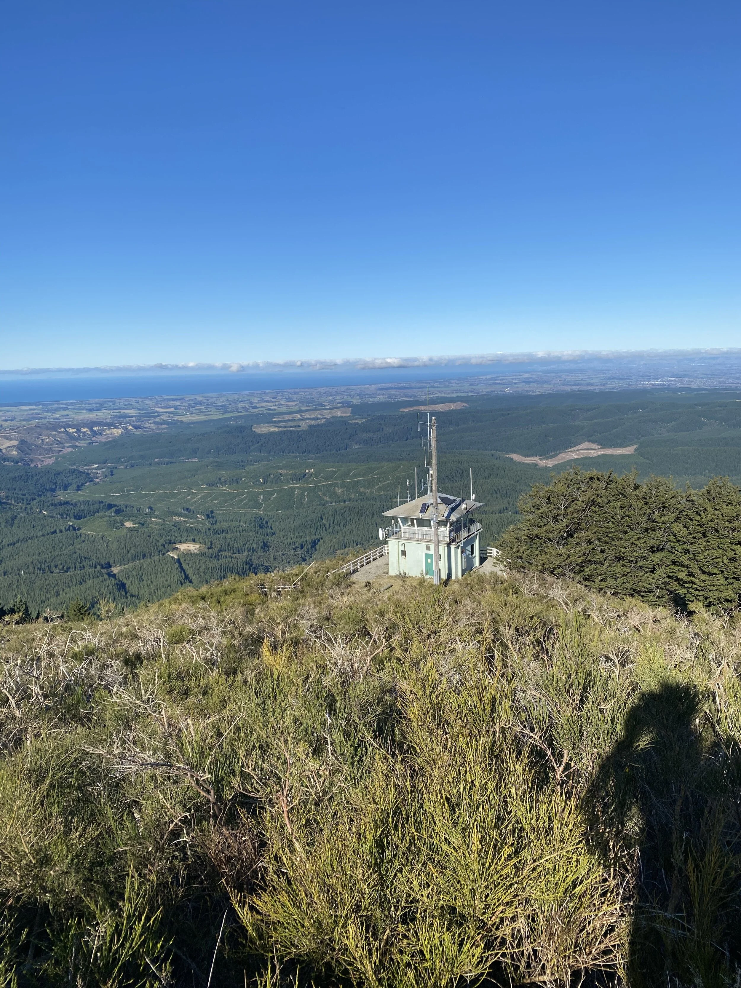 Mt Grey via the Fire Lookout